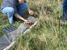 IMG_0681