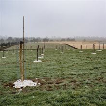 WRL-Hemelrijk-Soogelee-04 (Standaard WNOW)