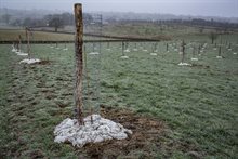 WRL-Hemelrijk-Soogelee-07